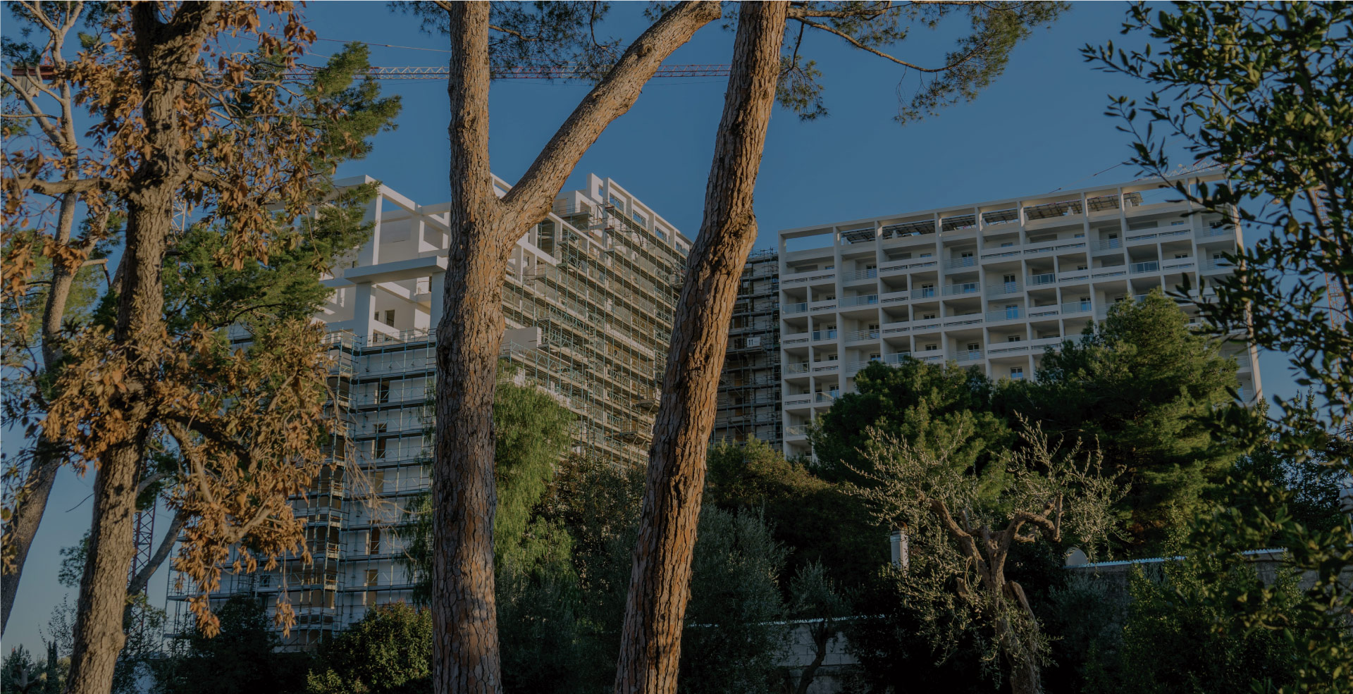 <h2>L’appartamento che cercavi, </h2><h2> comodo ed ecologico</h2><a href='/progetto' class='btn btn-sm btn-border'>Scopri il progetto</a>